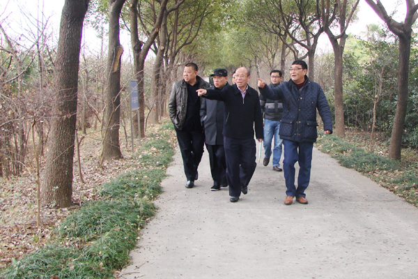 点击在新窗口中打开图片